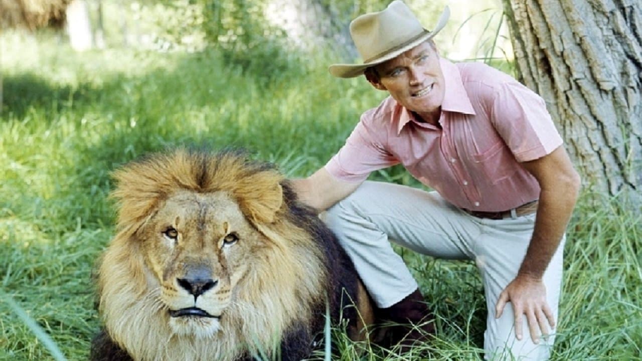 Cowboy in Africaの背景画像