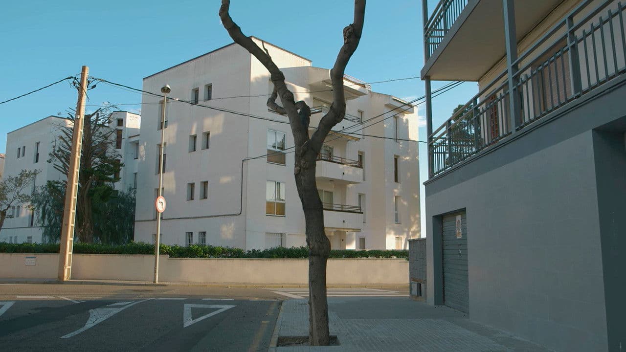 Con Vistas al Marの背景画像