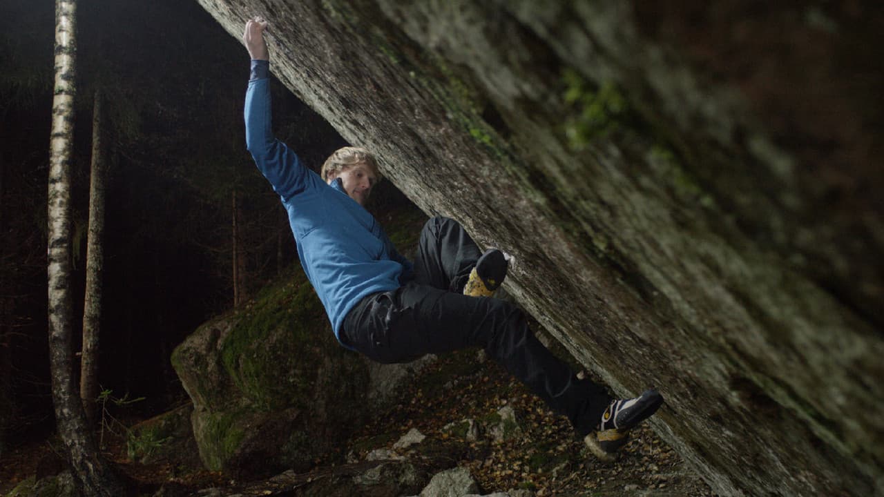 The Lappnor Projectの背景画像