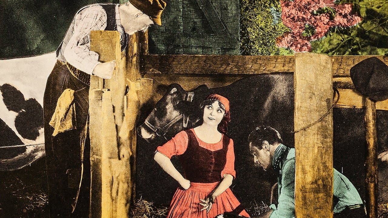 Barbed Wireの背景画像