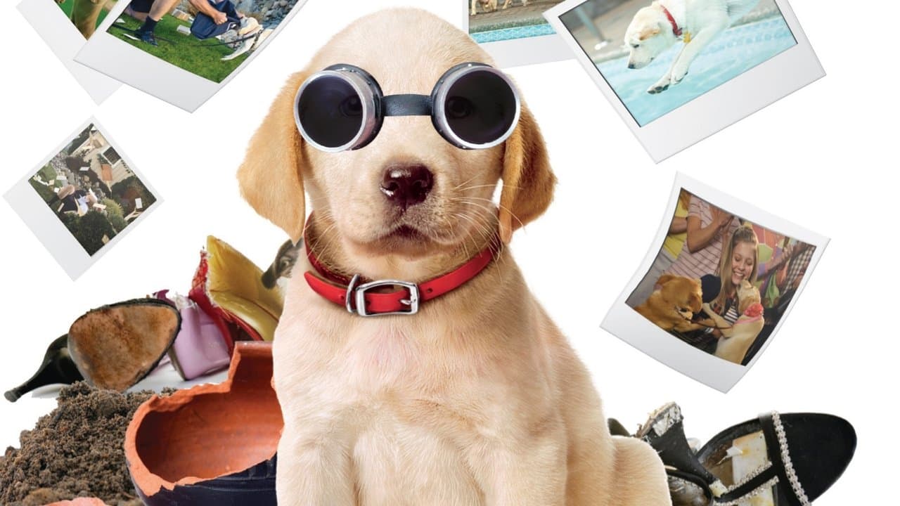 Marley & Me: The Puppy Yearsの背景画像