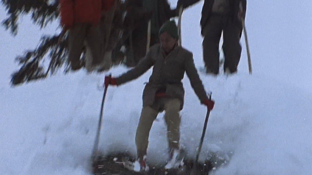 Vertical Realityの背景画像