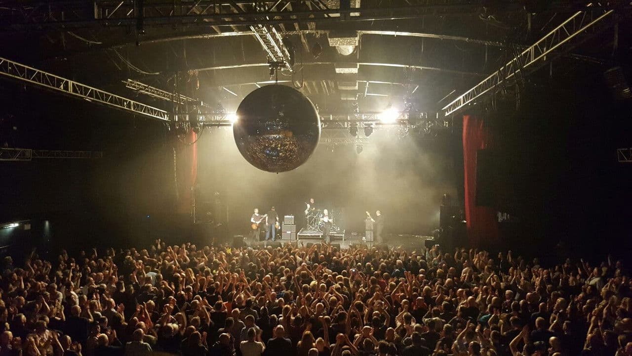 The Skids ReVolutionの背景画像