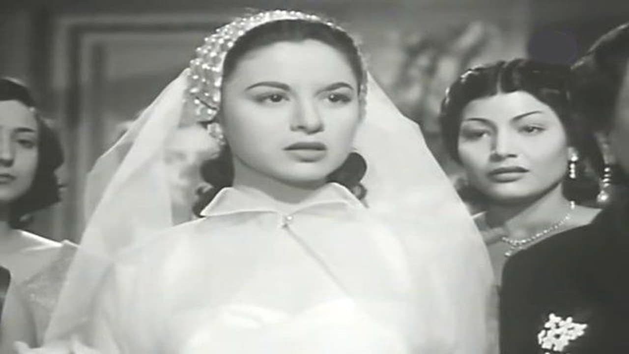 المنزل رقم ١٣の背景画像