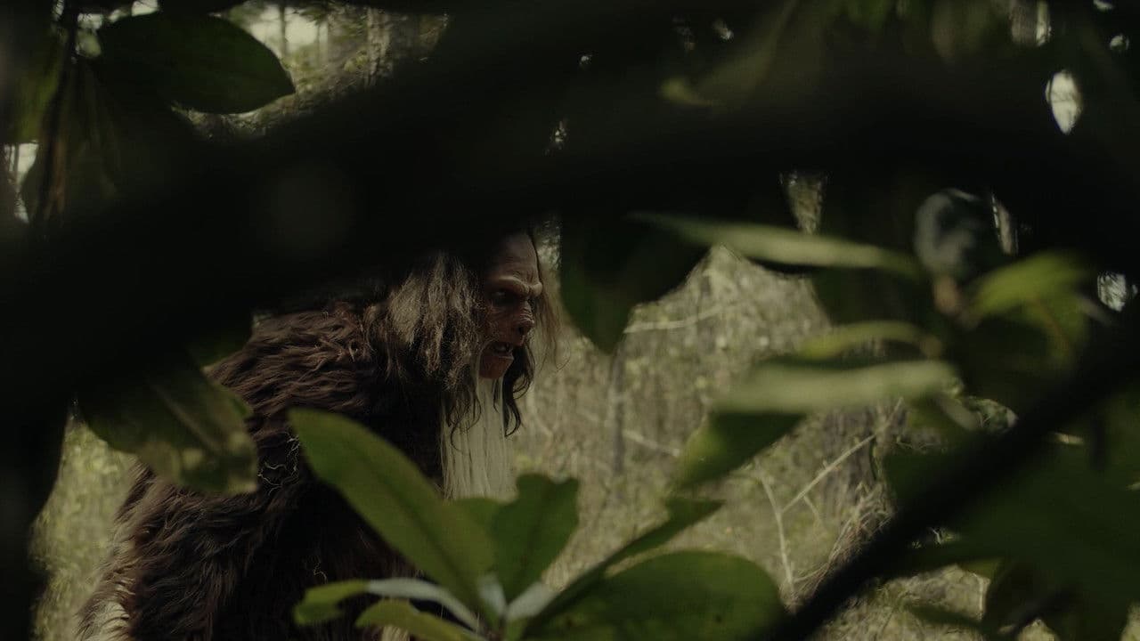 Sightingの背景画像