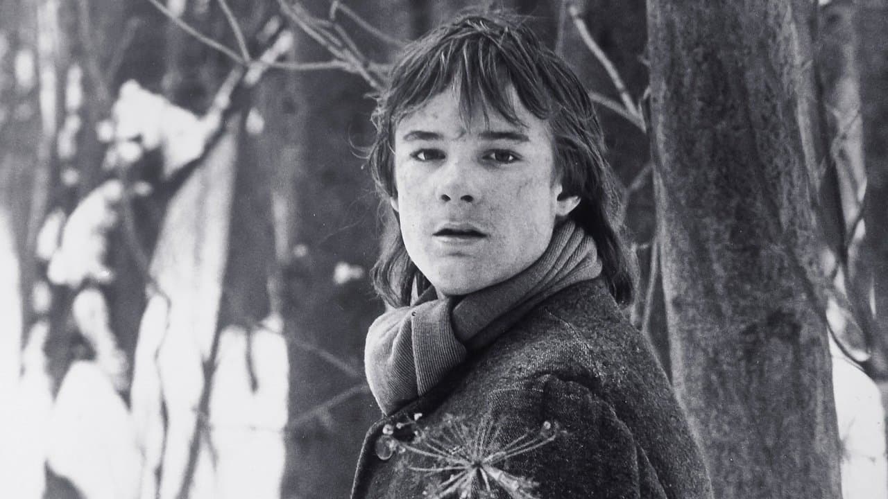 The Nature of the Beastの背景画像