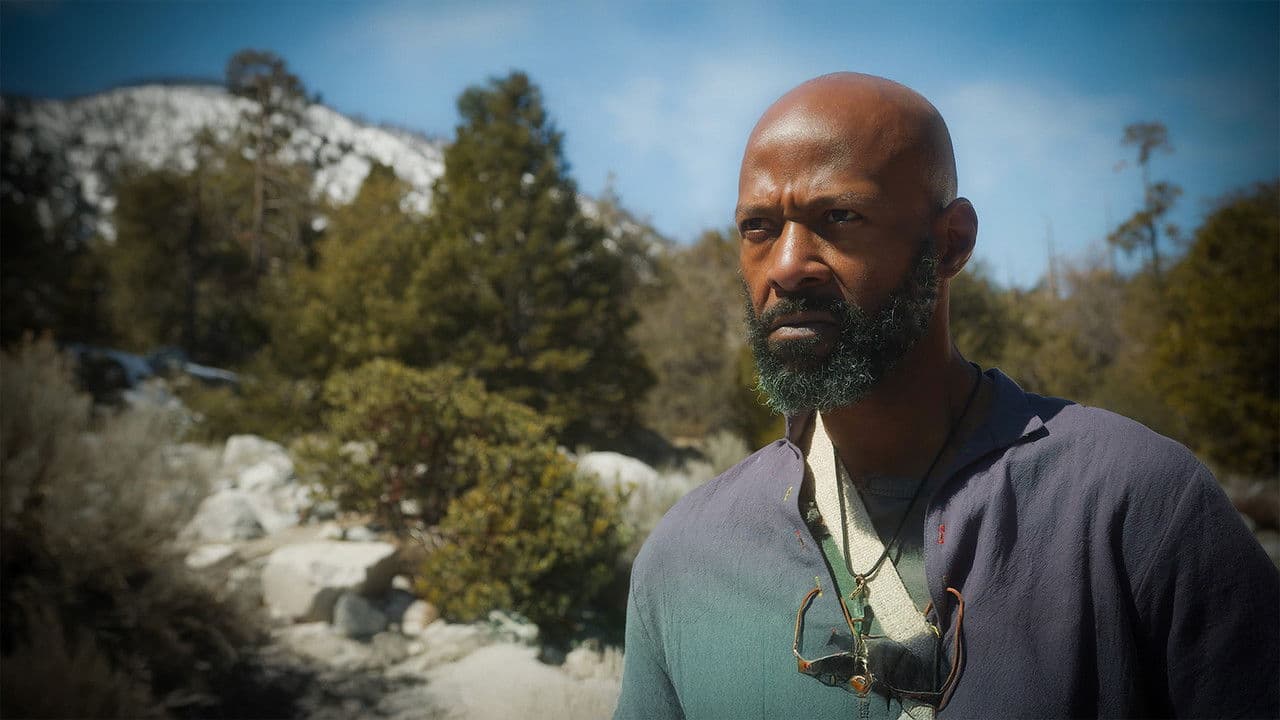 The Way of the Strangerの背景画像