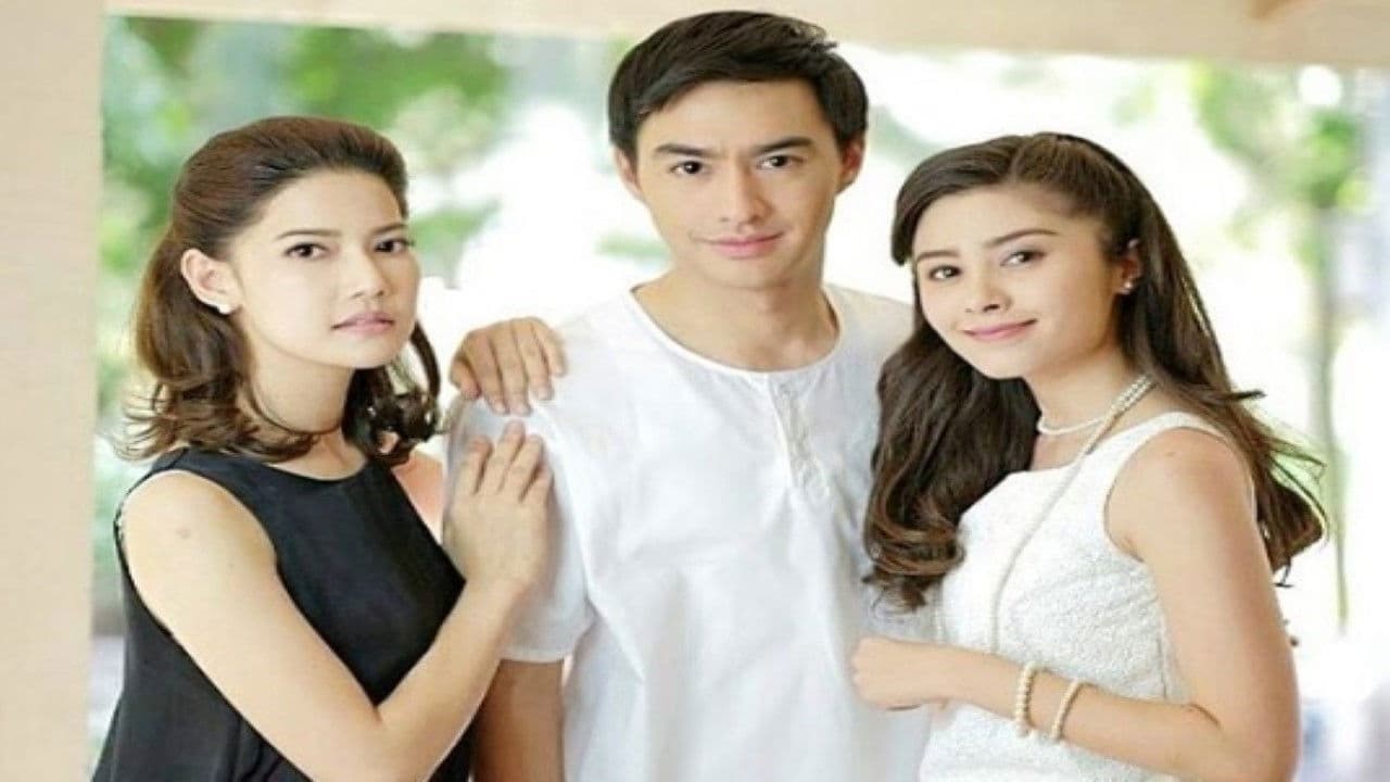 เรือนพะยอมの背景画像