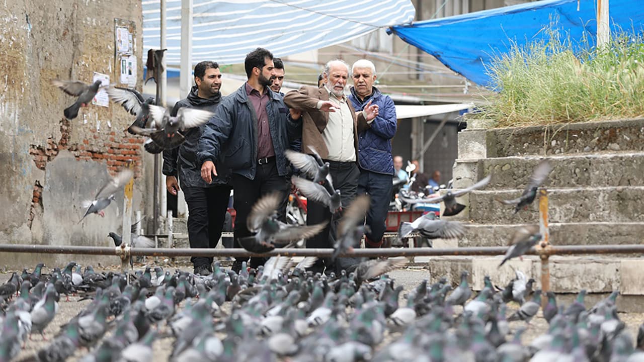 Shokouhe Khamoushの背景画像