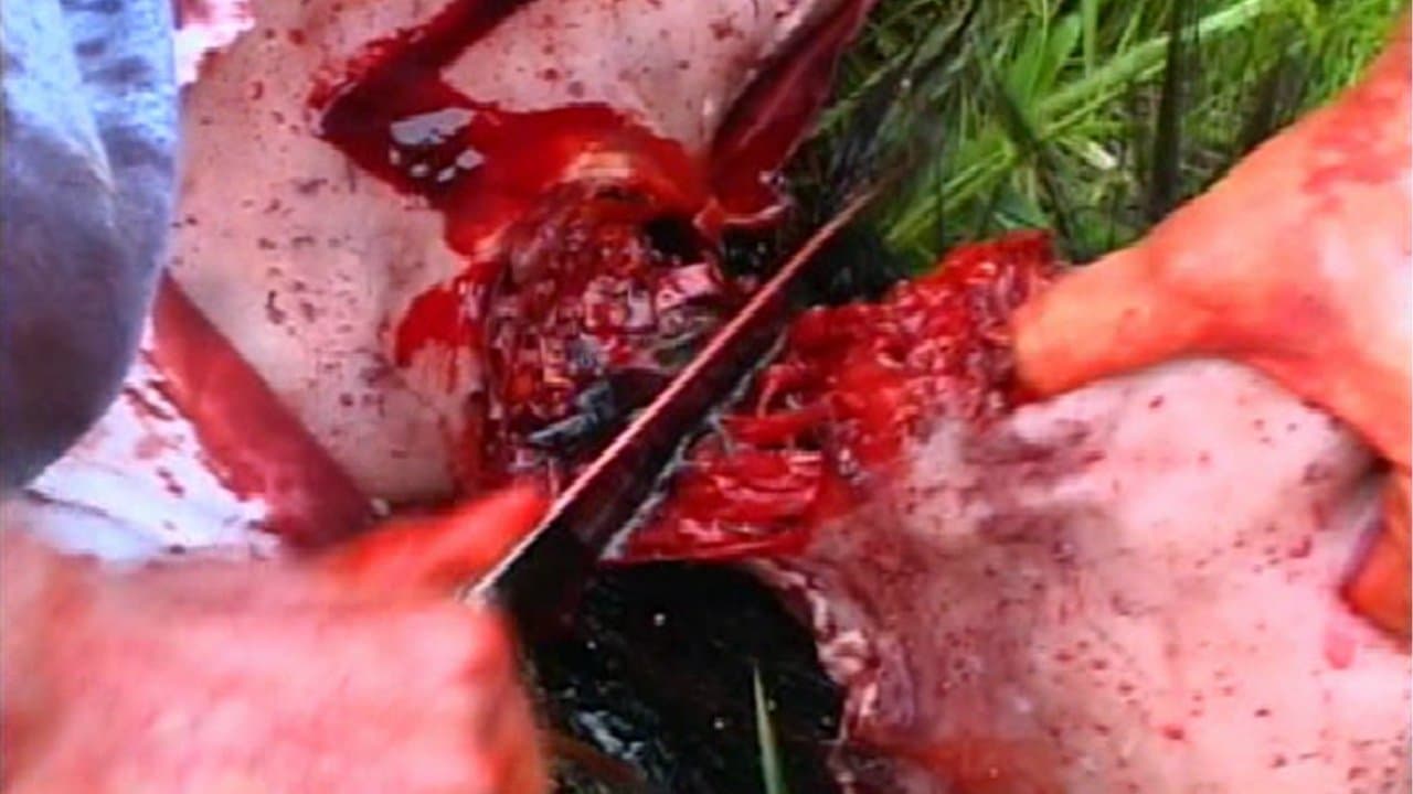 The Bleakの背景画像