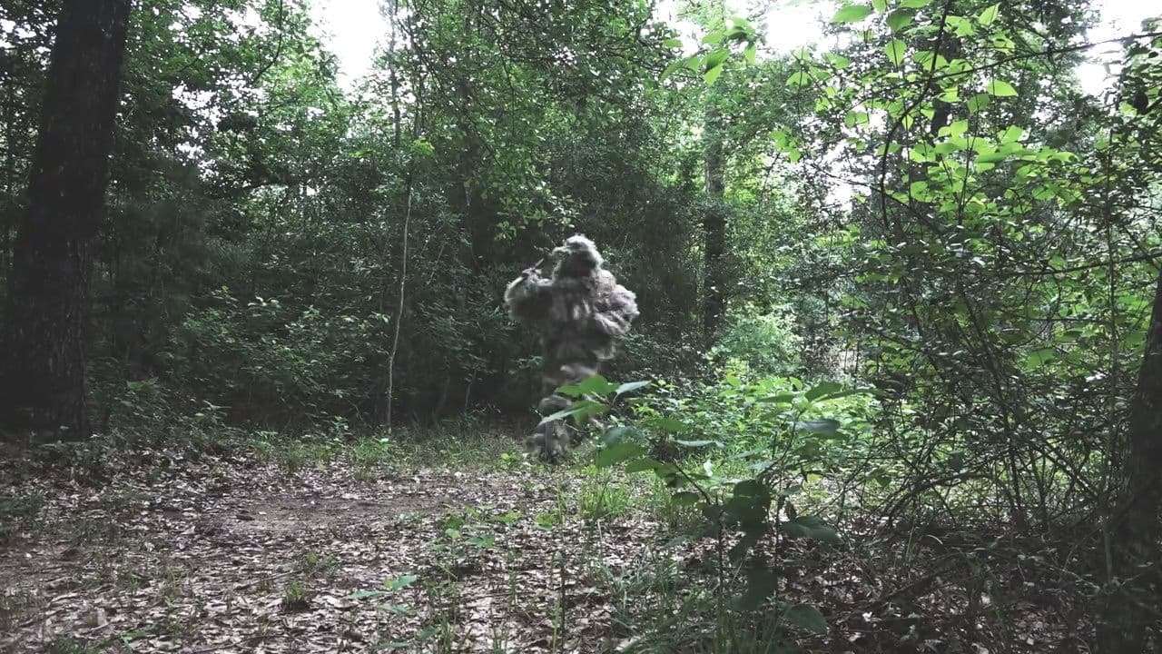 The Mountain Stalkerの背景画像