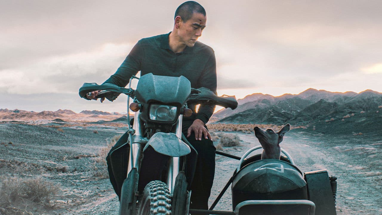 ブラックドッグの背景画像