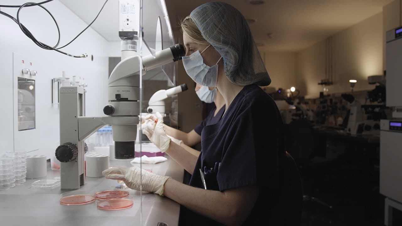 Future Babyの背景画像