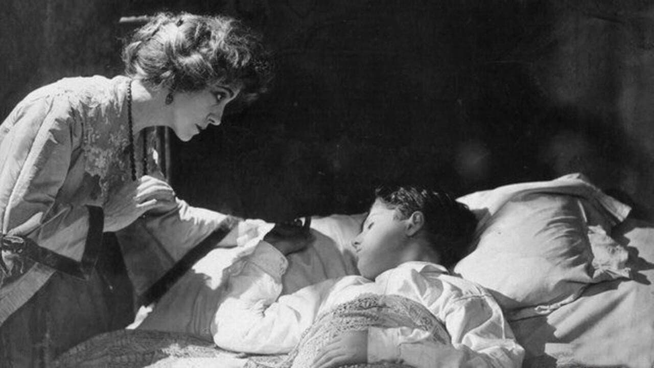 The Old Wives' Taleの背景画像