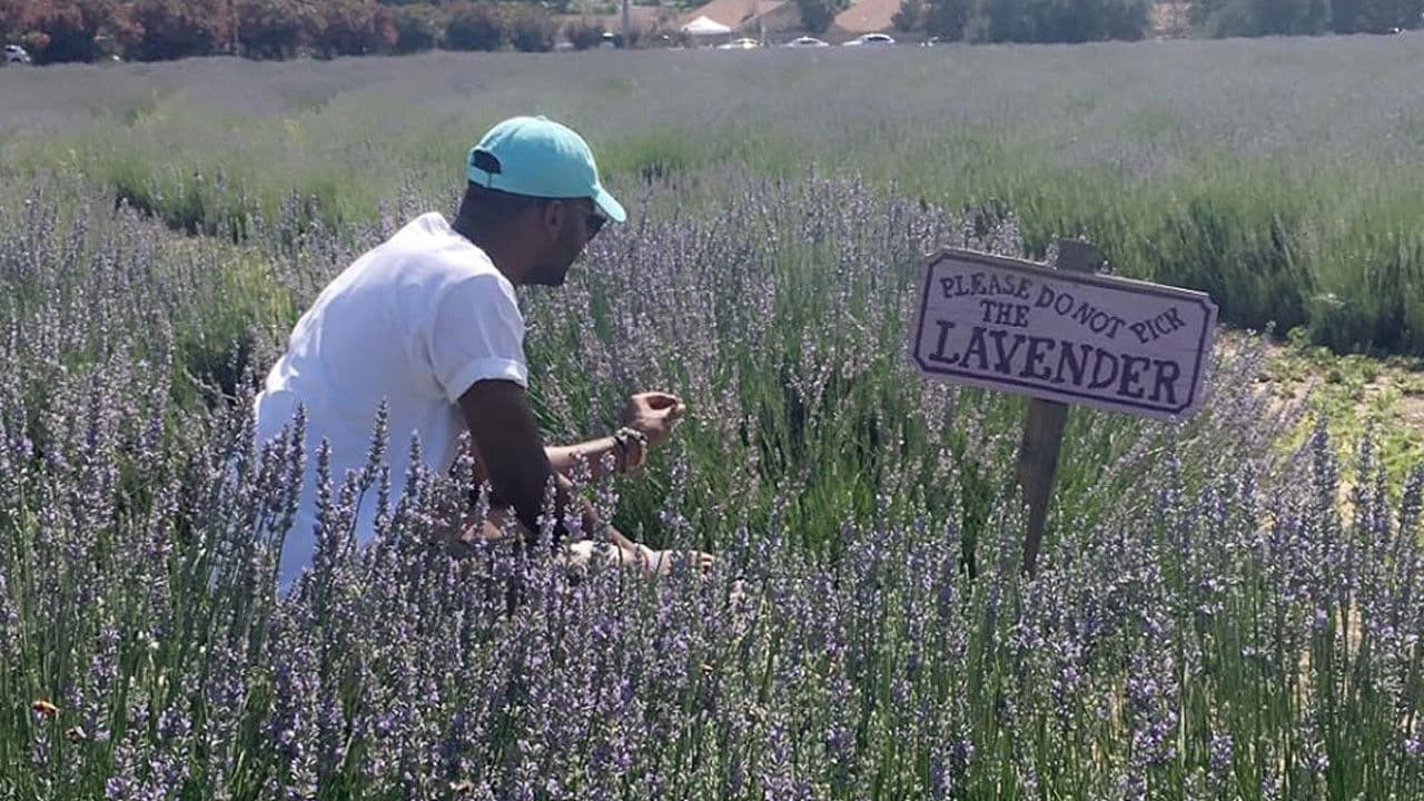 The Forfeiture Clauseの背景画像