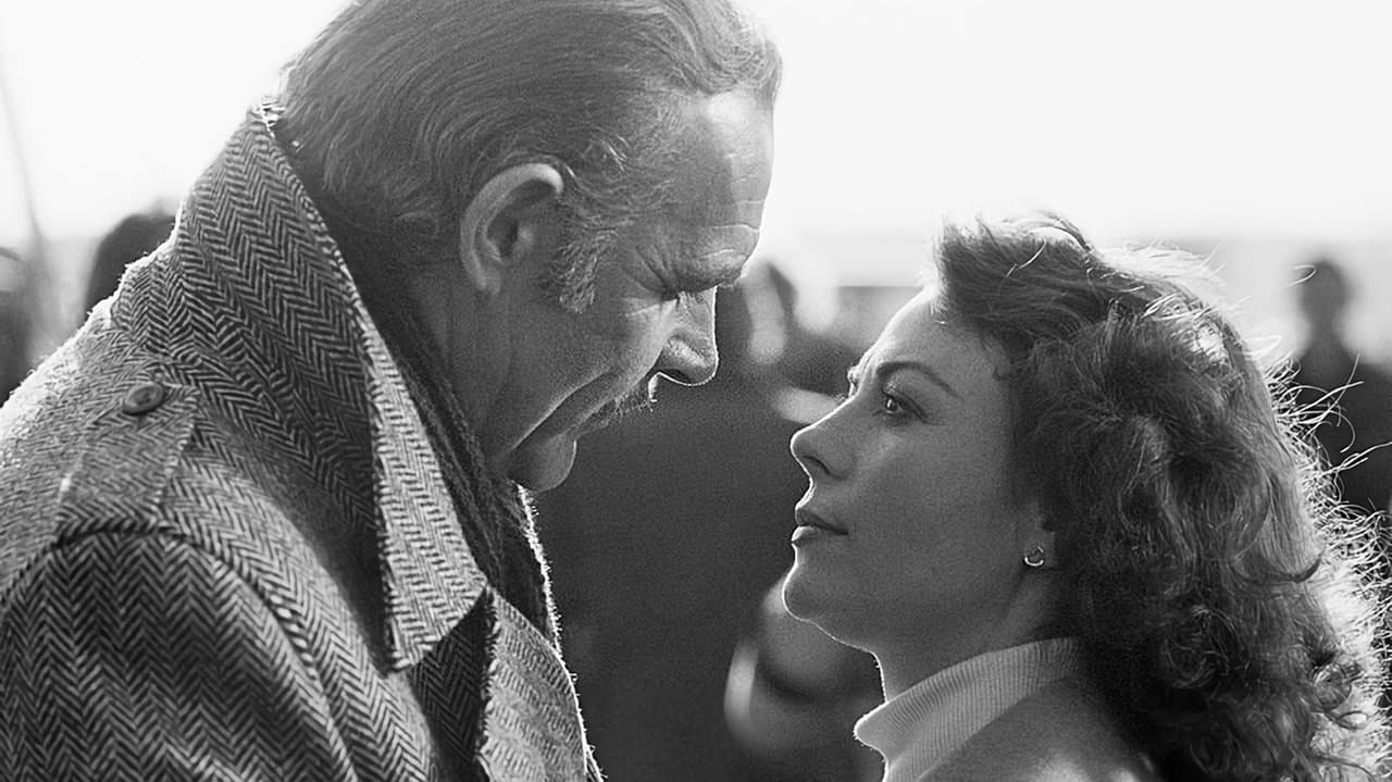 Meteorの背景画像