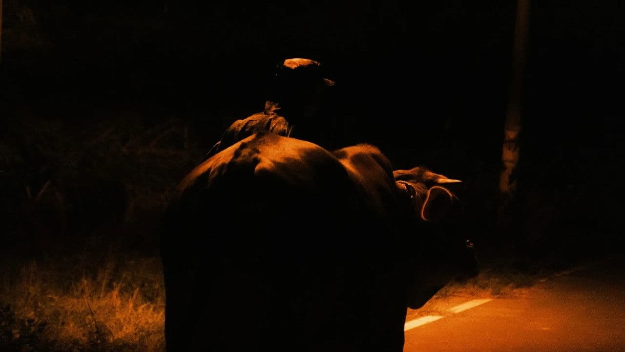 這不是我的牛の背景画像