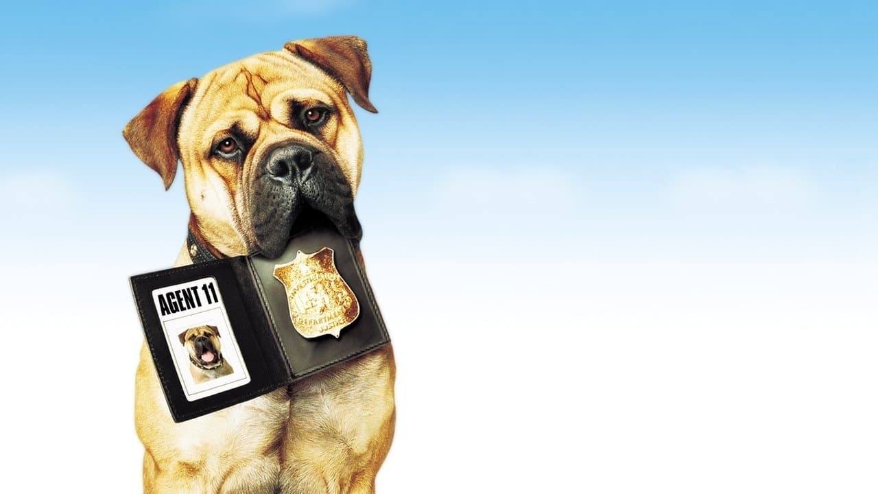 See Spot Runの背景画像