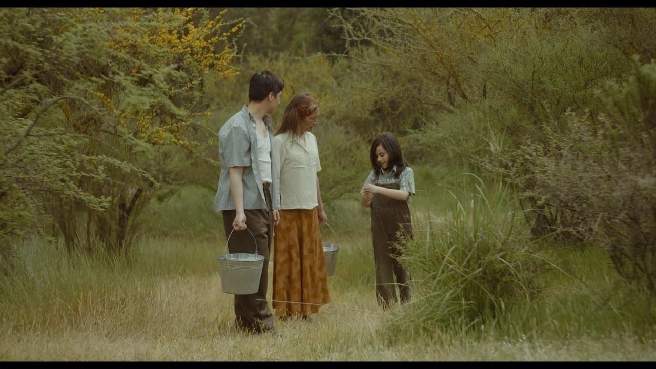 Días de Veranoの背景画像