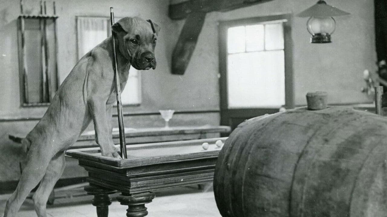 Une fée ... pas comme les autresの背景画像