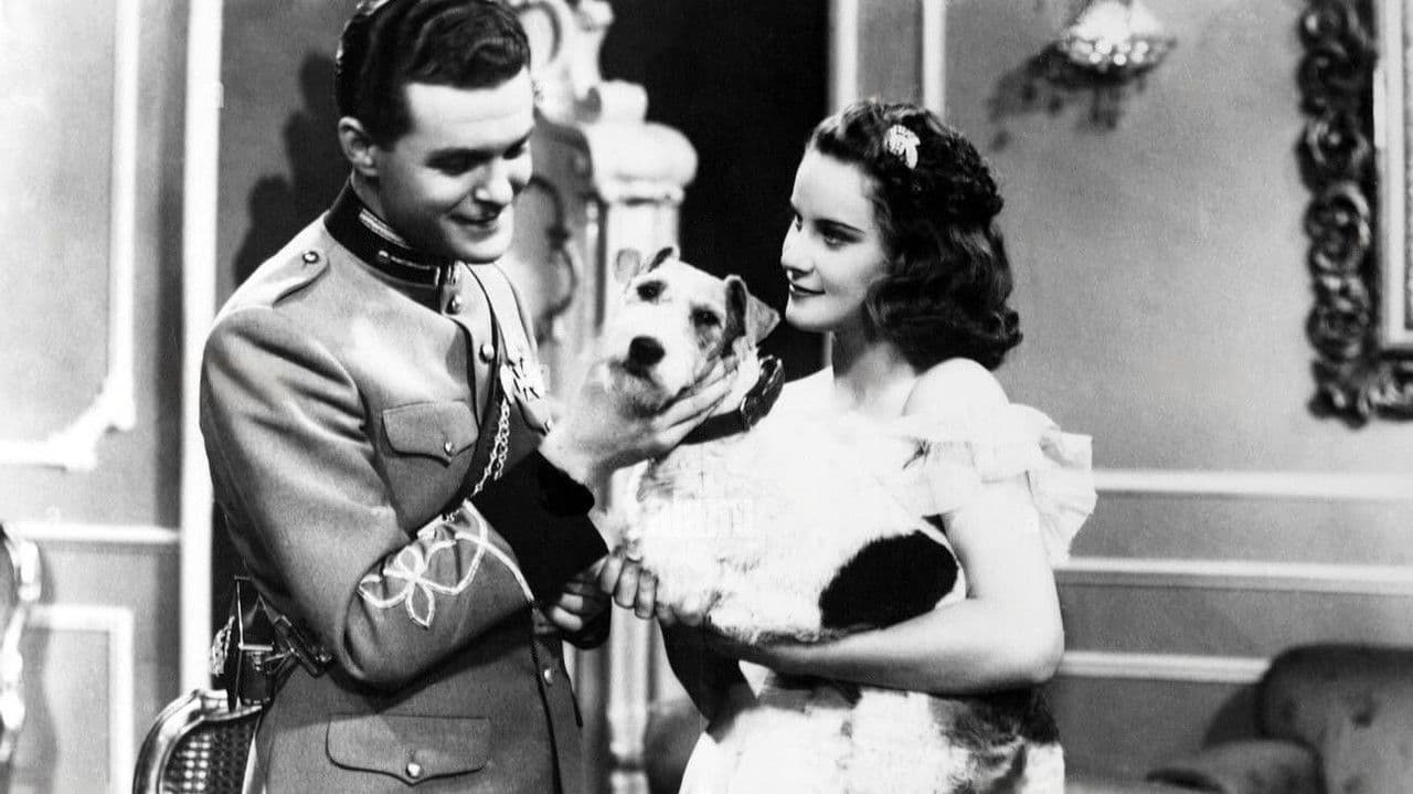 Ballo al castelloの背景画像