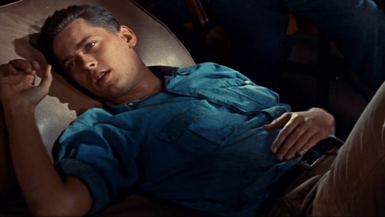 The Cobwebの背景画像