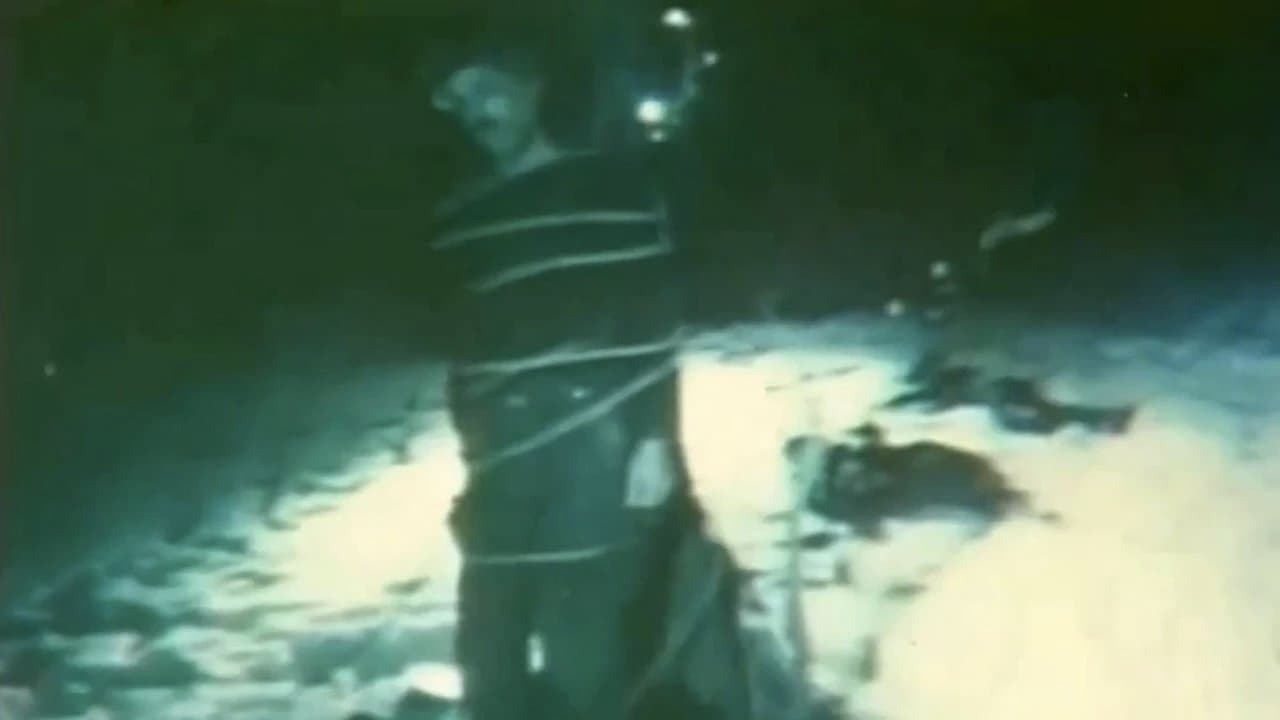 Harayの背景画像