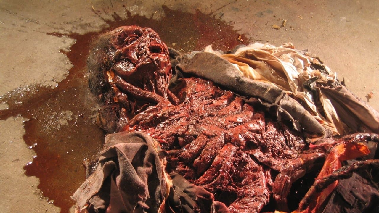 Cryptic Plasmの背景画像