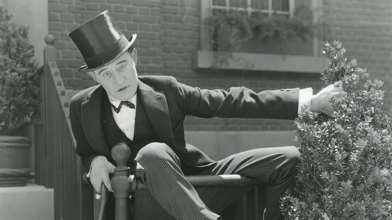 The Glorious Foolの背景画像