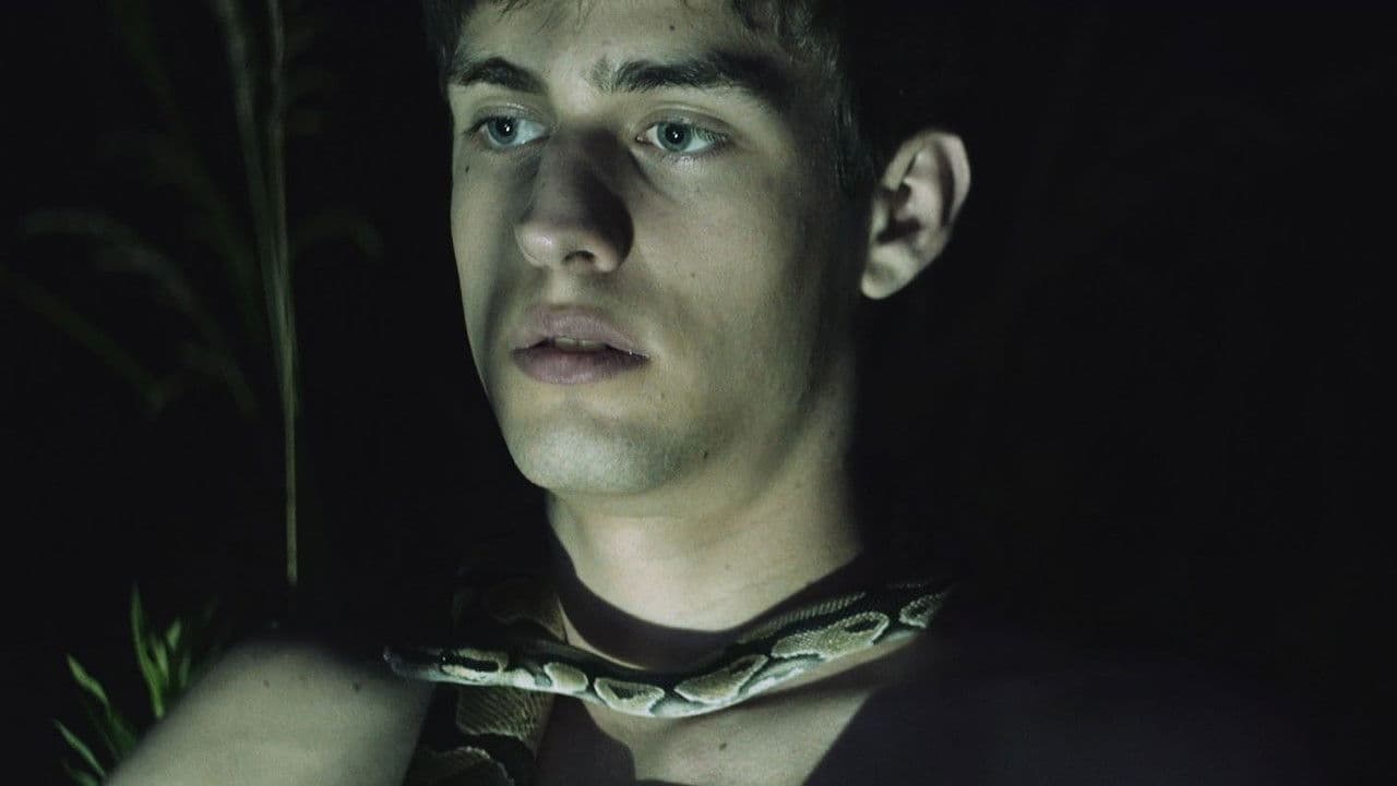 Viceroyの背景画像