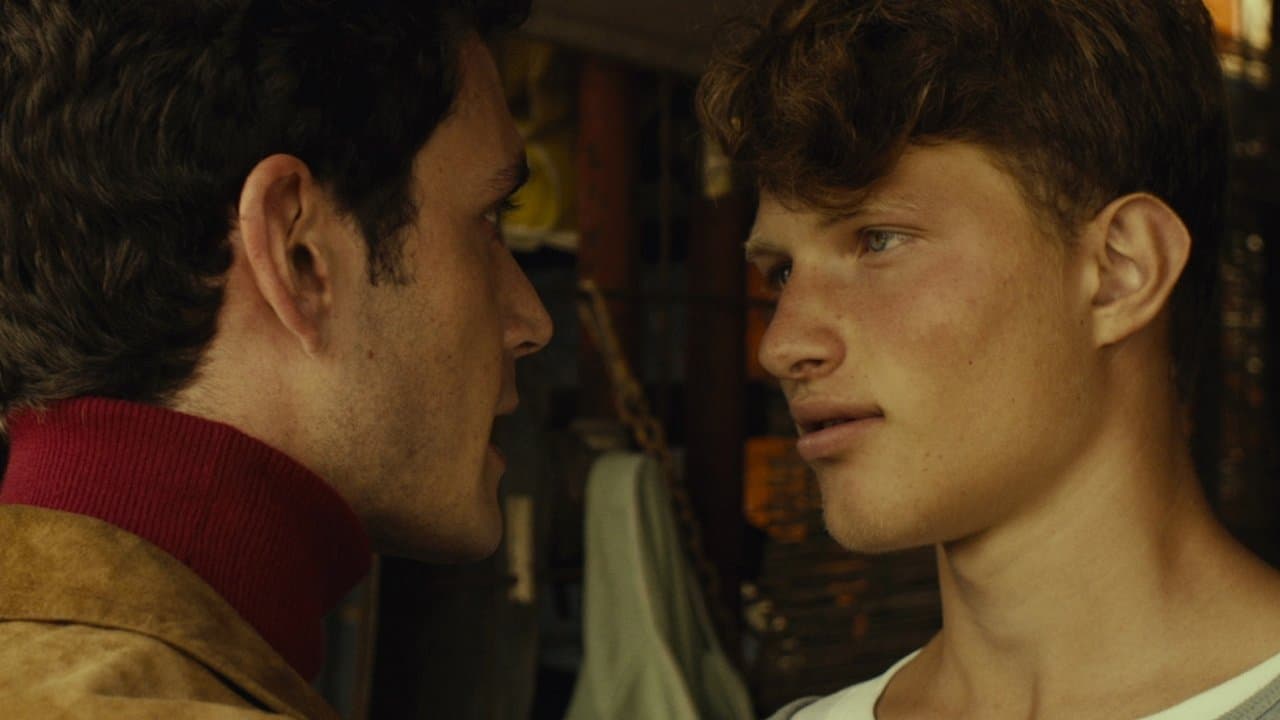 Pipinaraの背景画像