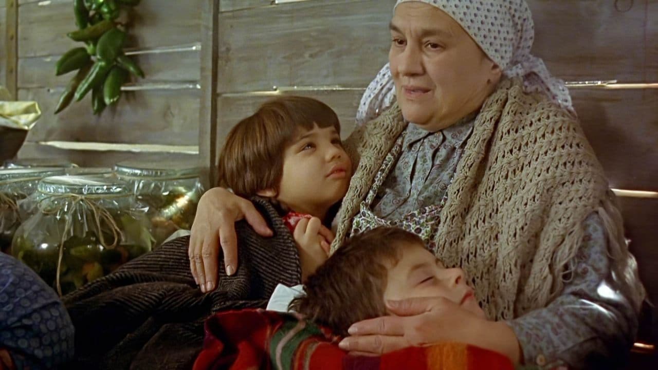 Train de vieの背景画像