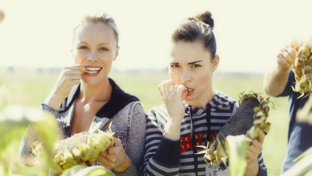 Herbářの背景画像