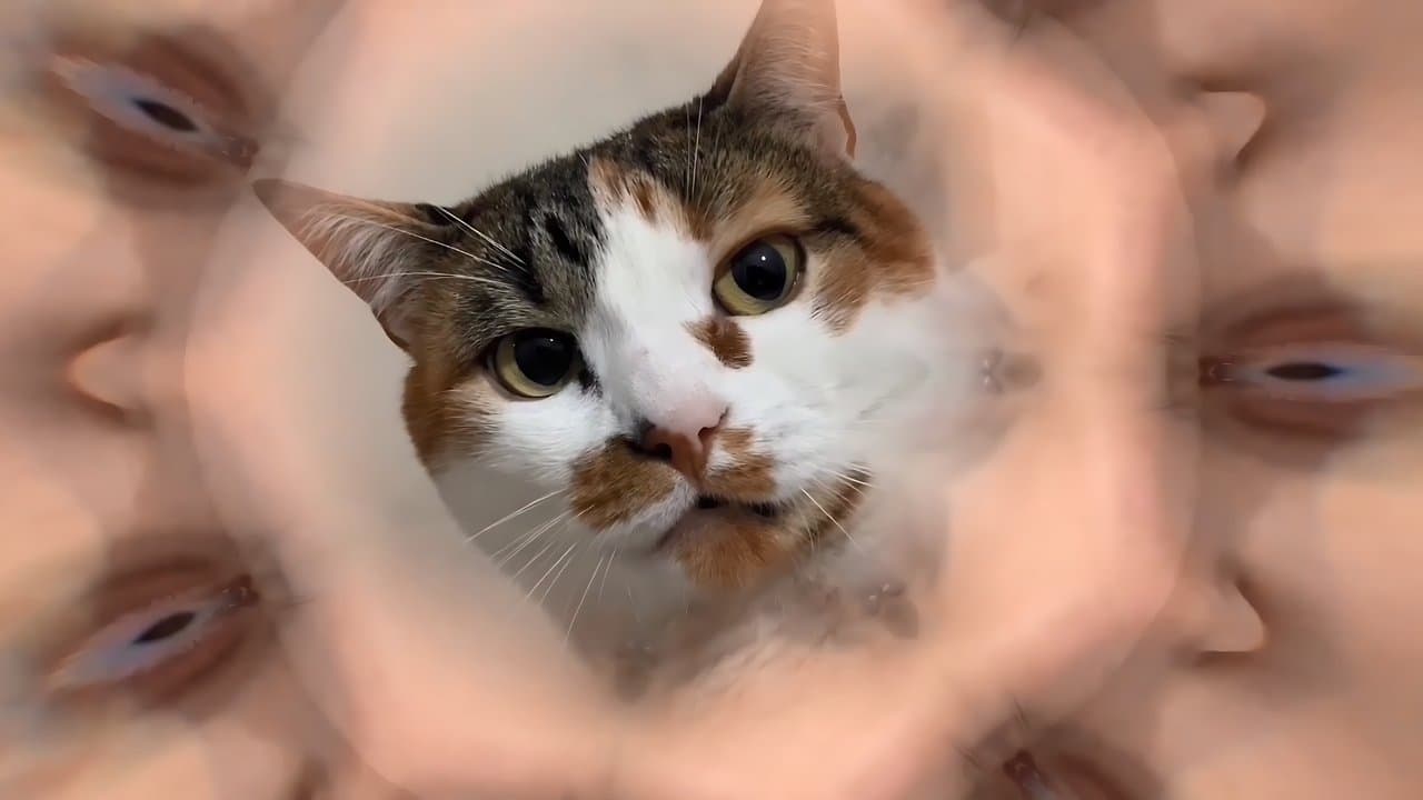 TREM PARADA DURAの背景画像