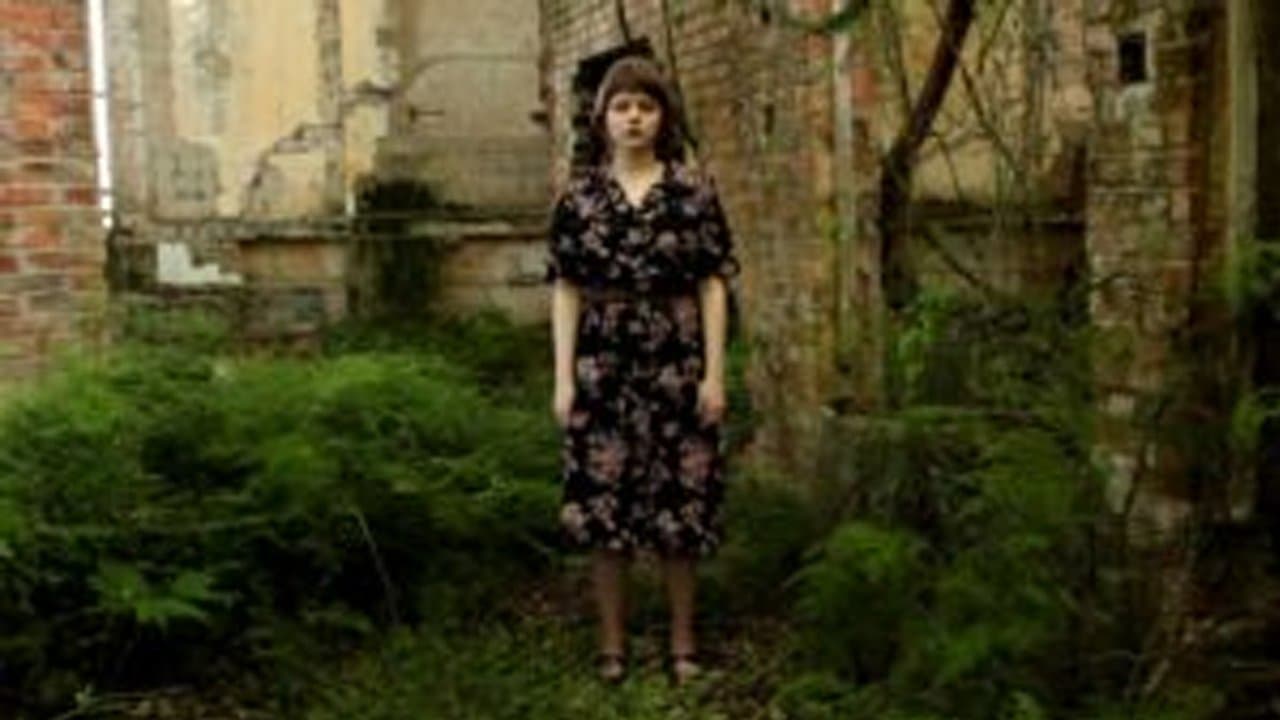 Bookpink – O Livro dos Pássarosの背景画像