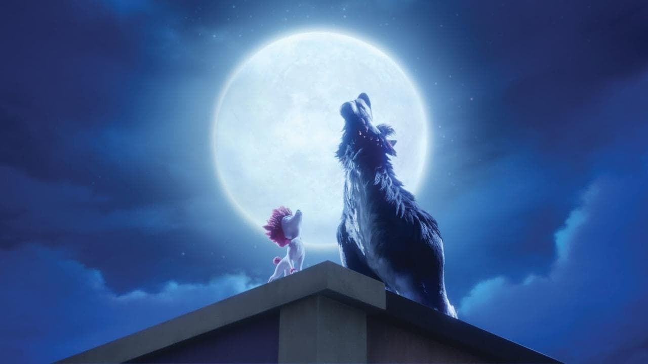 キャプテン・プードルの背景画像