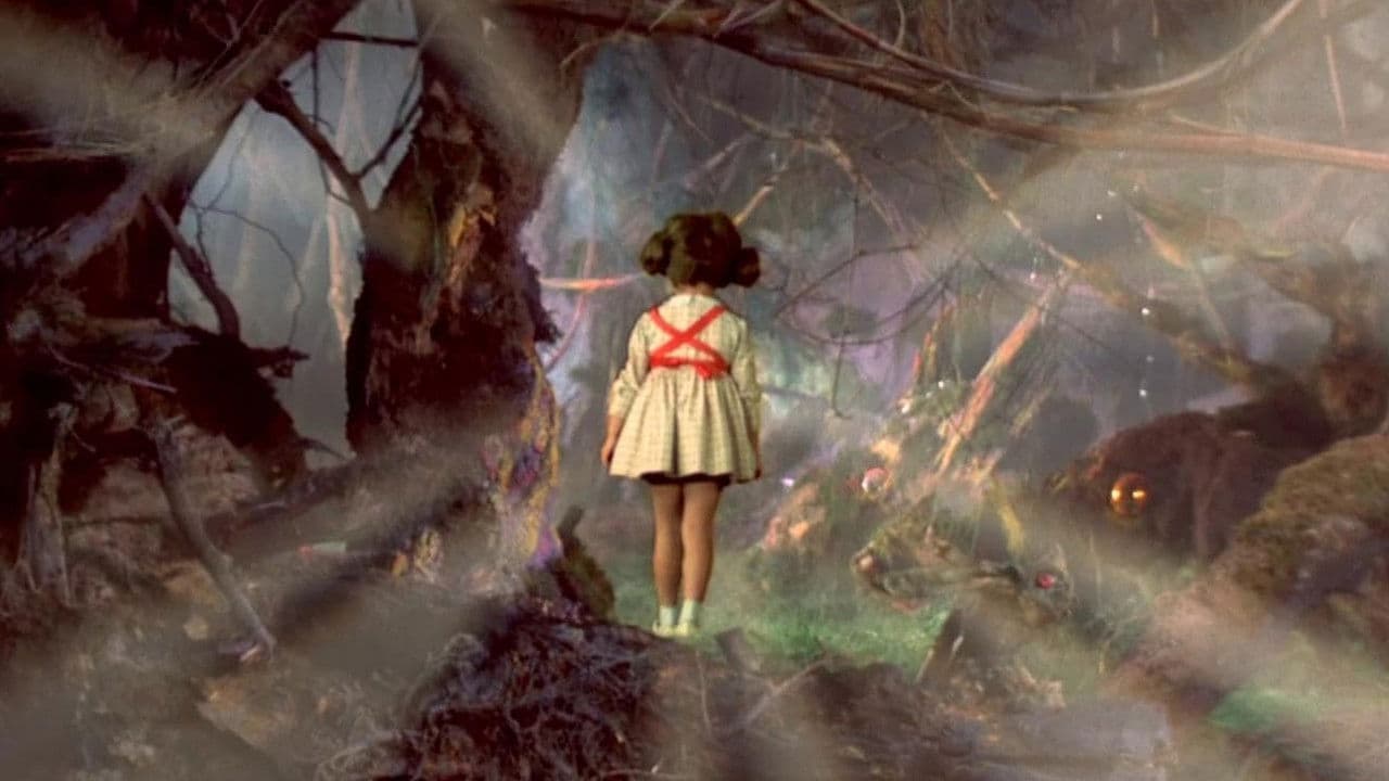 Veronica se întoarceの背景画像