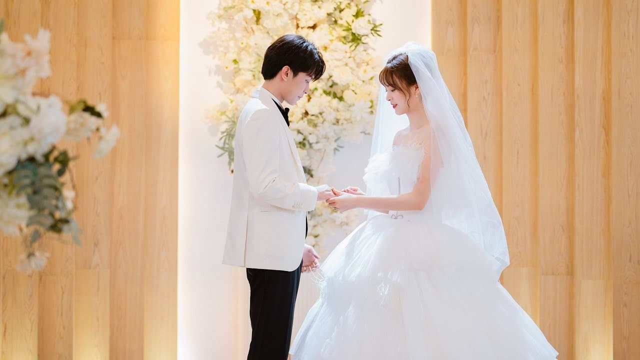 谎言使用法则の背景画像