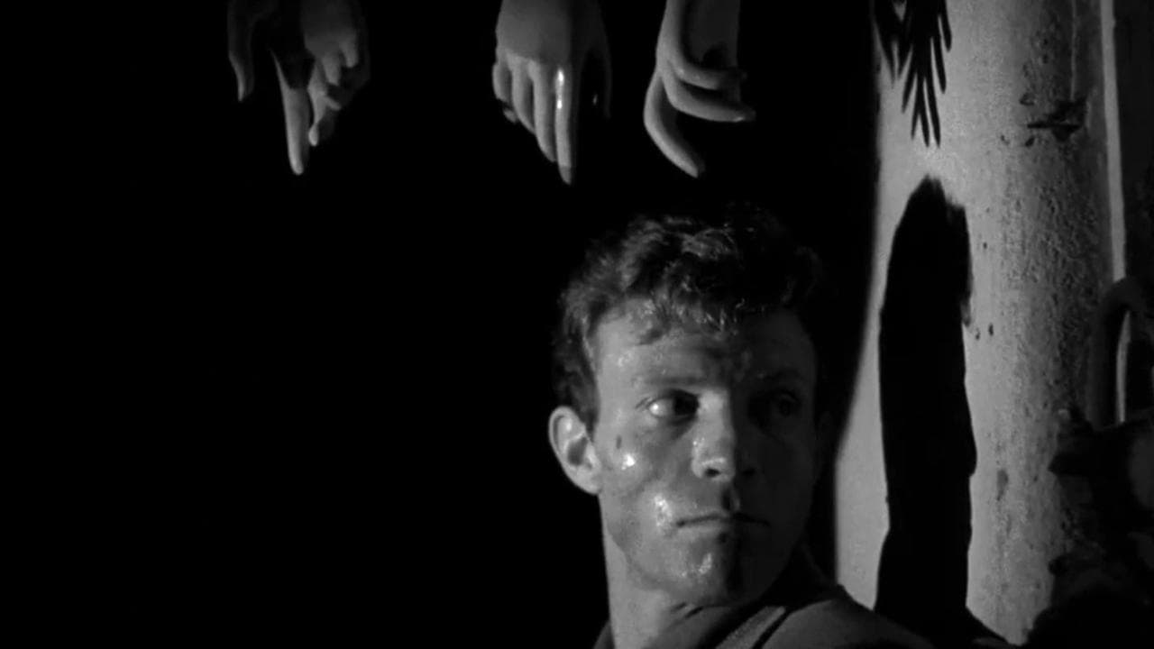 非情の罠の背景画像