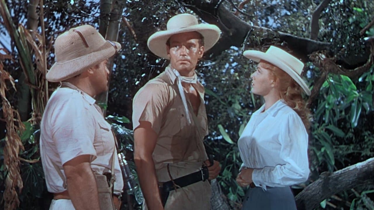 黒い絨毯の背景画像