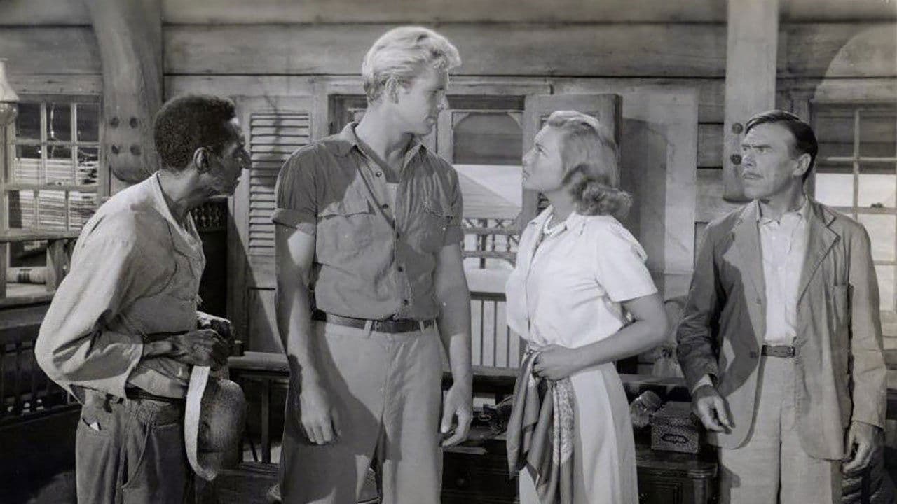 Bahama Passageの背景画像