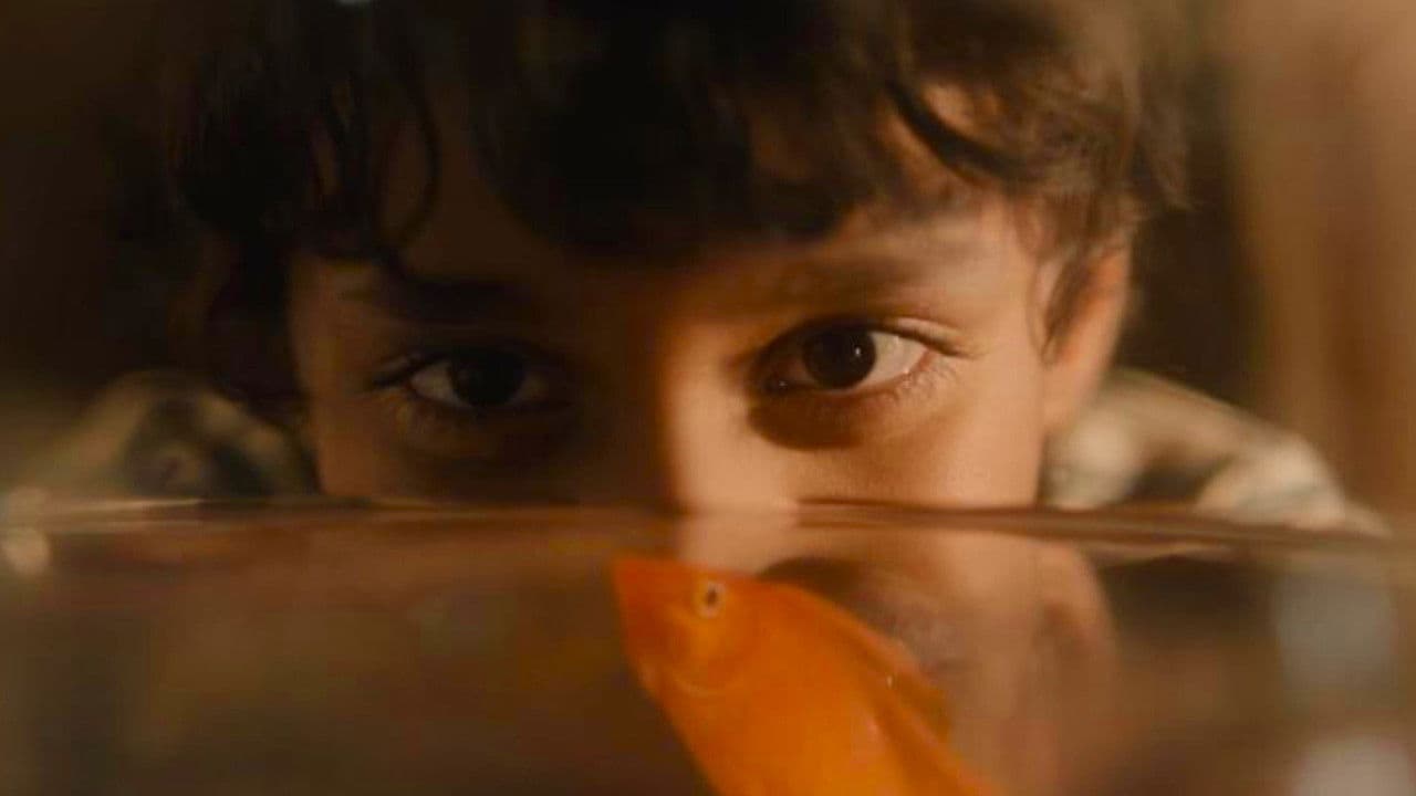 Chashmaの背景画像