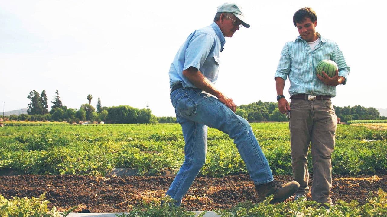 In Organic We Trustの背景画像