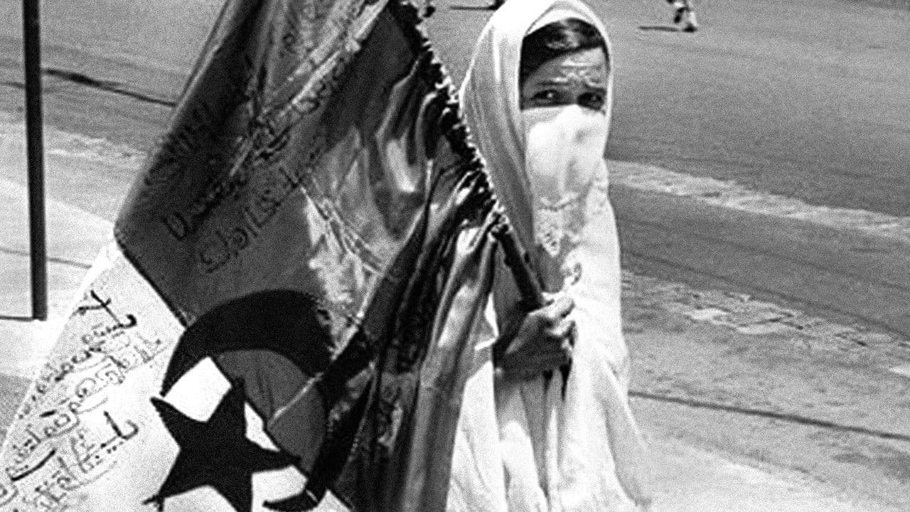 Moudjahidateの背景画像