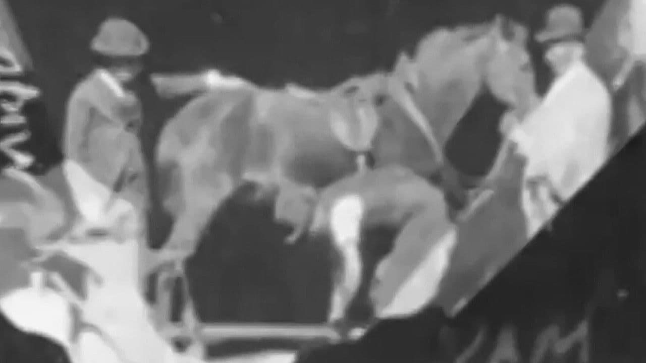 Horse Shoeingの背景画像