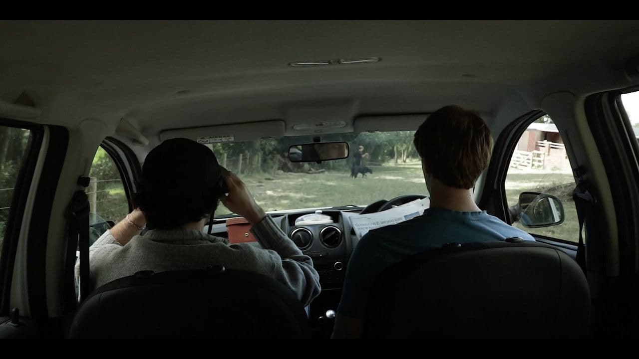 Bonfiresの背景画像