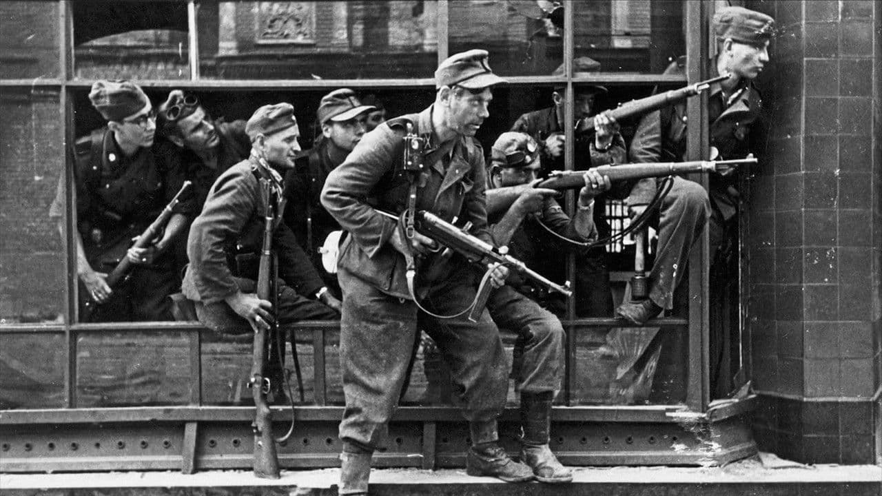 Mathi Schenks letzte Reise nach Polenの背景画像