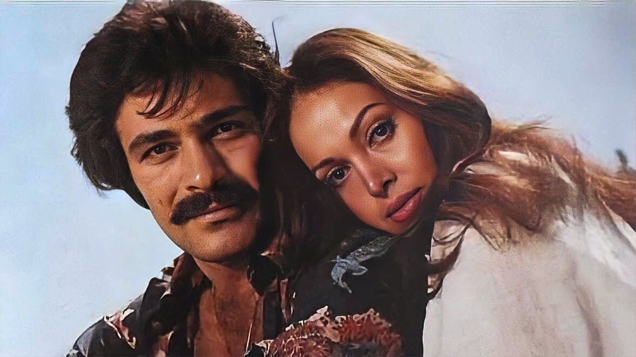 Bodrum Hakimiの背景画像