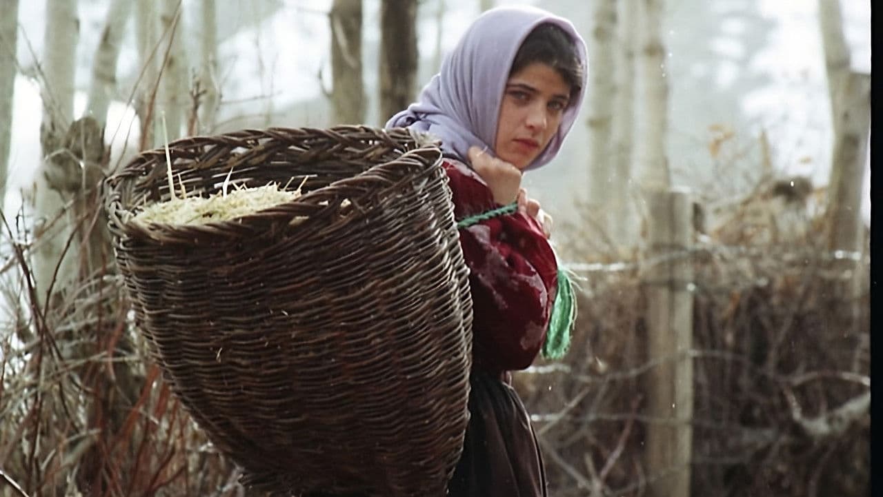 شیوەنی بەفرの背景画像