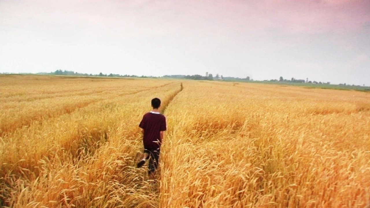 Innocentの背景画像